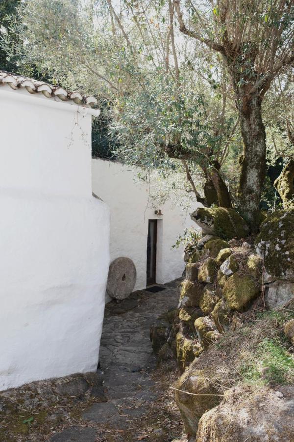 Serra Vida - A Place Of Presence Santo António das Areias Dış mekan fotoğraf