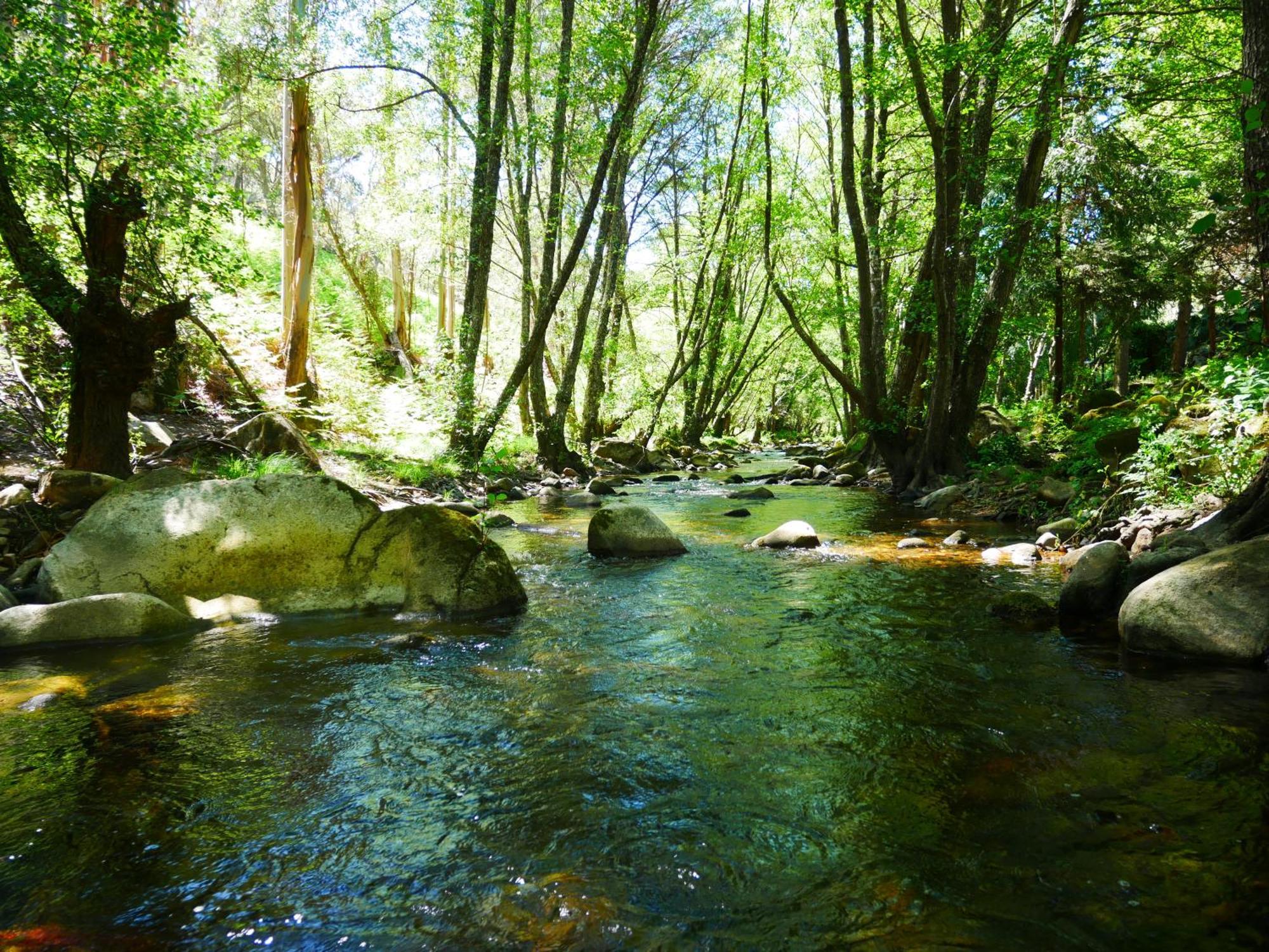 Serra Vida - A Place Of Presence Santo António das Areias Dış mekan fotoğraf